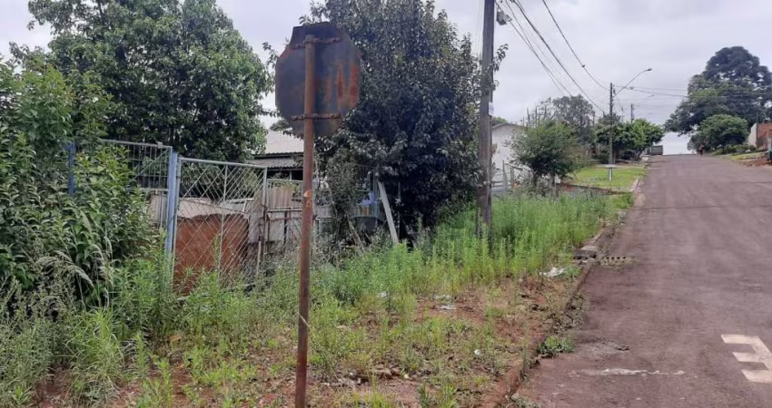 TERRENO REGIAO SUL