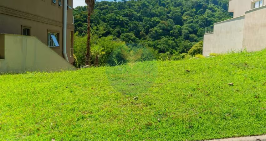 Declive com 490m² e vista eterna para APP