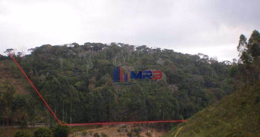 Terreno à venda na Estrada de Duas Barras, Centro, Duas Barras