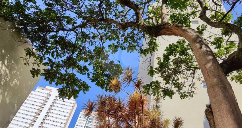 Apartamento no Cambuci (Ed. Condomínio Jardim Tropical)
