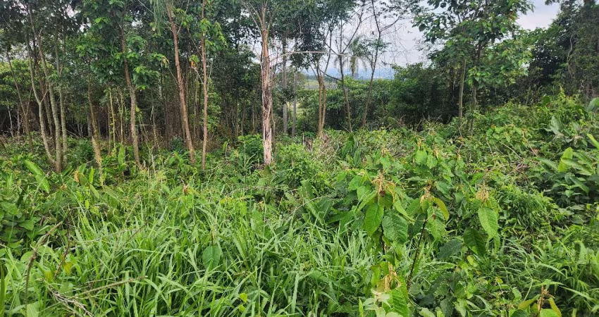 Seu refúgio em meio à natureza espera por você no Sebandinha, Mairinque-SP!
