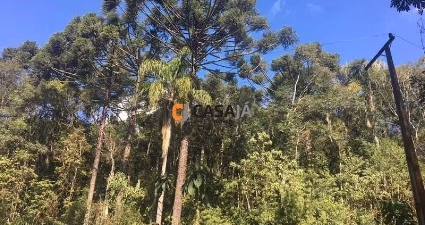Otimo terreno para chacara em Contenda