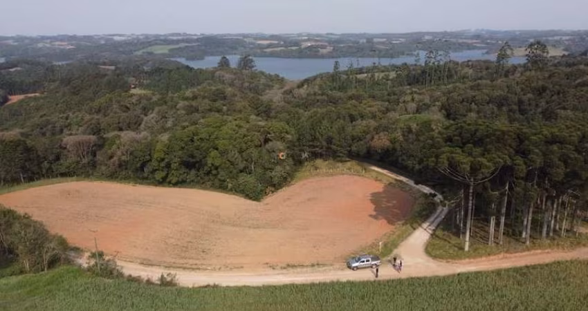 Terreno para Formação de Chácara Próximo ao Centro de Campo Largo