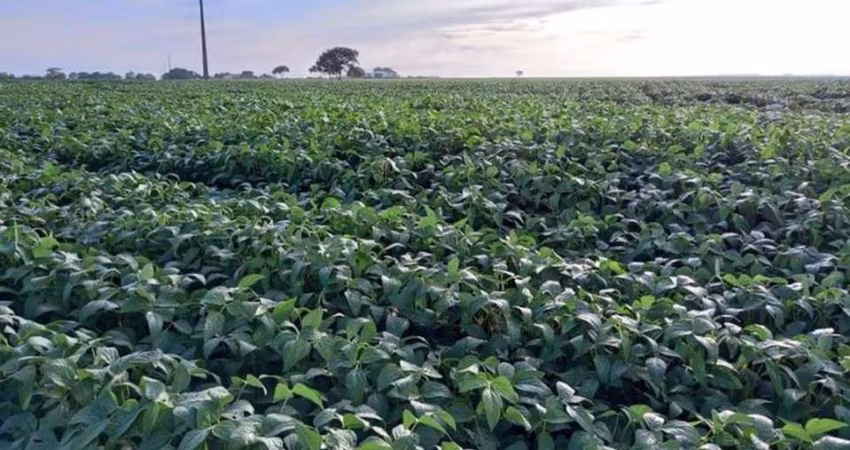 Fazenda para Venda em General Carneiro, Zona Rural