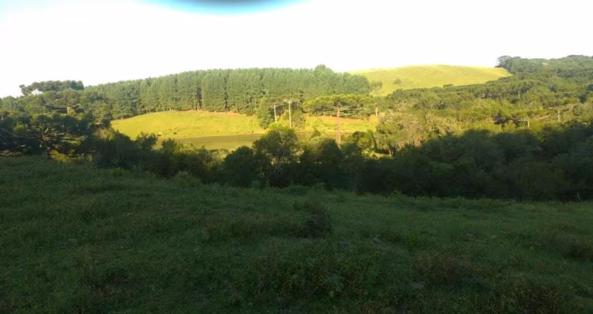 Excelente oportunidade de investimento em uma fazenda localizada na localidade de Fazenda Souza, em Caxias do Sul-RS. Com uma área total de 425,23 hectares, este terreno oferece infinitas possibilidad