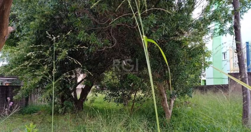 Terreno para Venda - 0m², 0 dormitórios, Tristeza