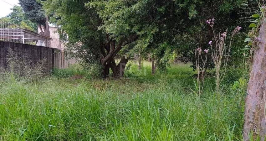 Terreno para Venda - 0m², 0 dormitórios, Tristeza