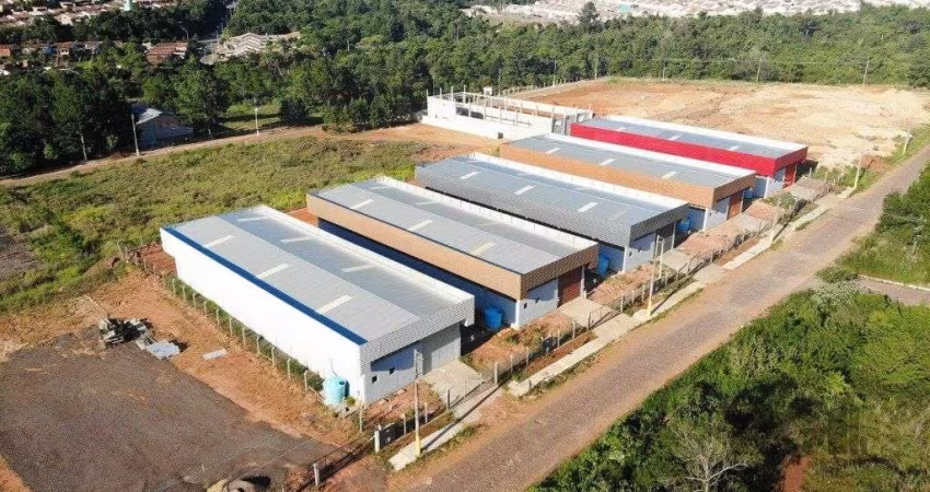 Galpão/Depósito/Armazém em Fazenda São Borja