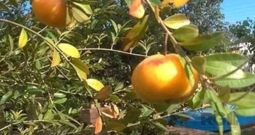 Casa em Condomínio em Águas Claras