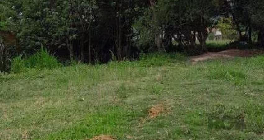 Terreno 1.000m² no bairro Lageado em Porto Alegre