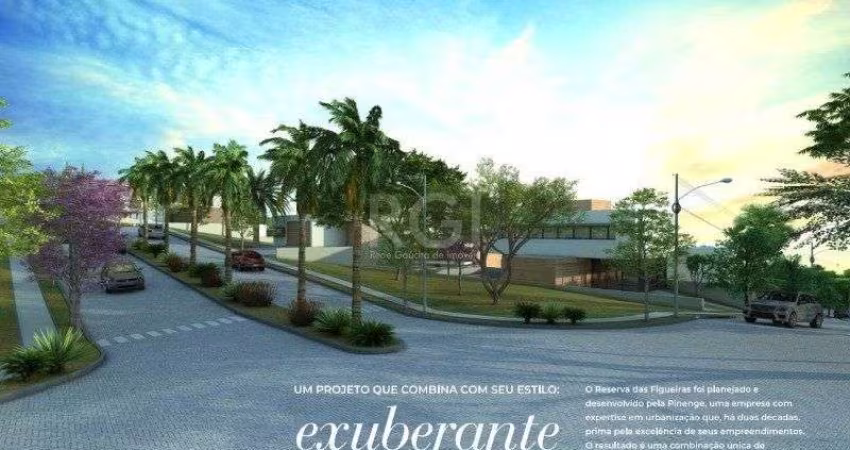 Terreno Residencial em Coronel Nassuca
