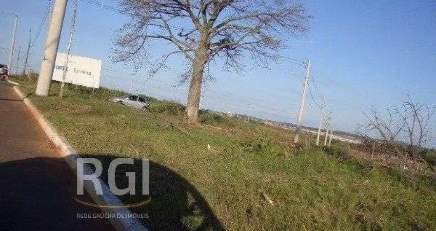 Terreno para Venda - 0m², 0 dormitórios, Protásio Alves