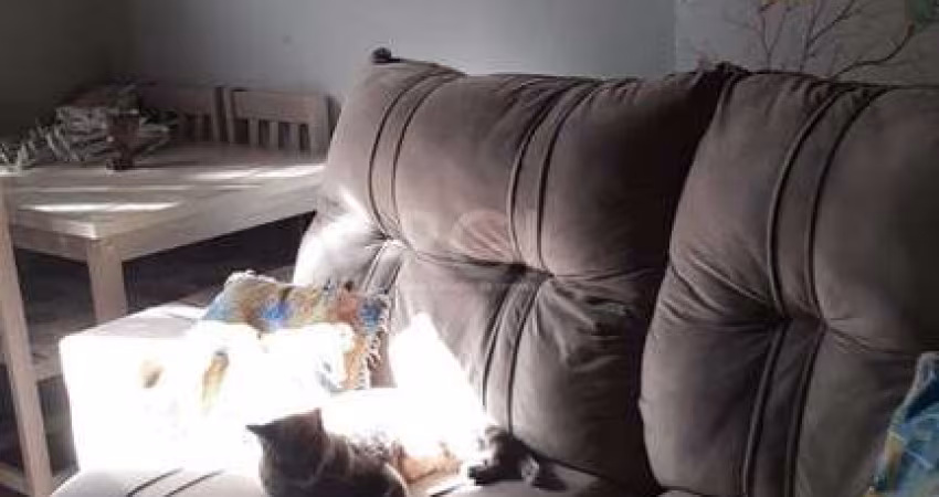 Apartamento para Venda - 51.28m², 2 dormitórios, 1 vaga - Camaquã, Porto Alegre