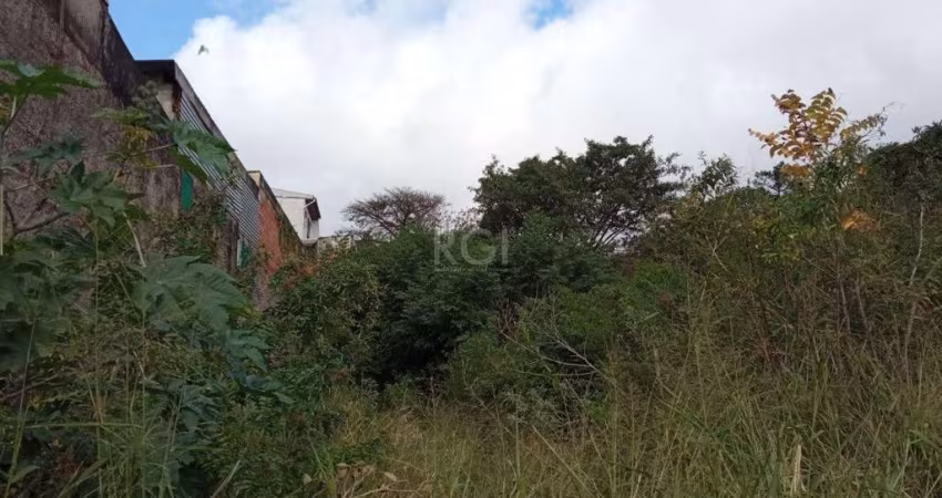 Terreno no bairro Nonoai