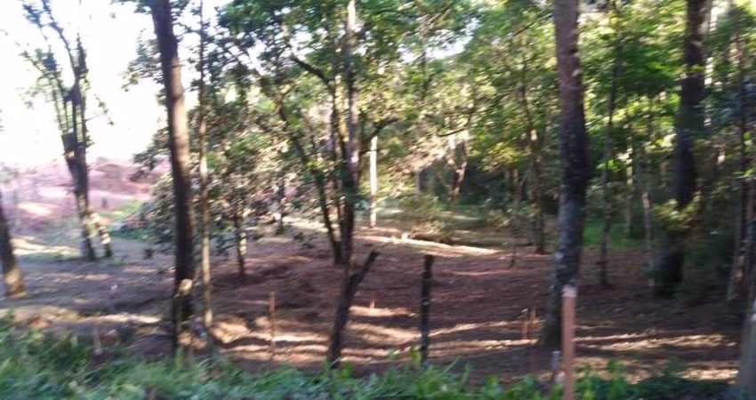 Terreno no Bairro Hípica