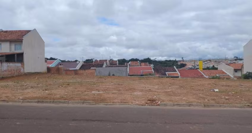 Terreno para Venda em Fazenda Rio Grande, Gralha Azul