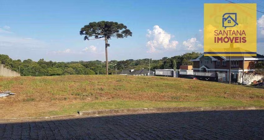 Terreno à venda, 6888 m² por R$ 1.400.000 - Fazendinha - Campo Largo/PR
