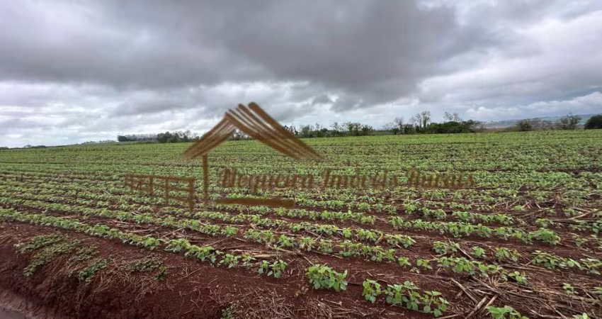 Fazenda para Venda em Tatuí, Área Rural de Tatuí
