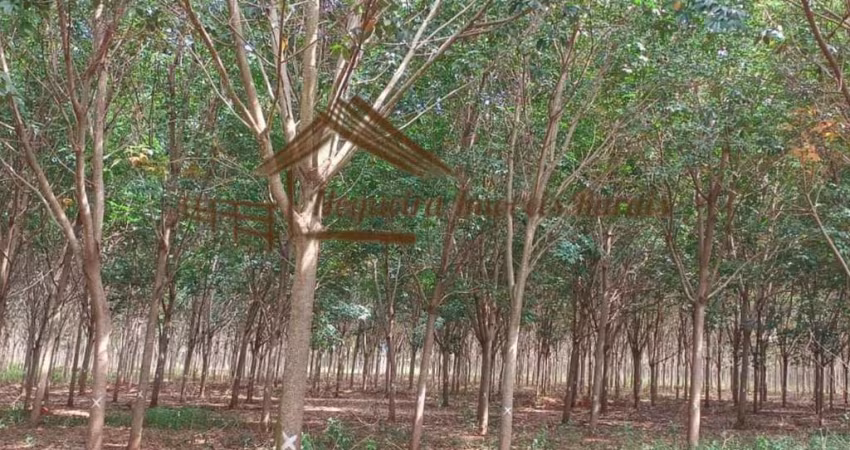 Fazenda para Venda em Cassilândia, Área rural