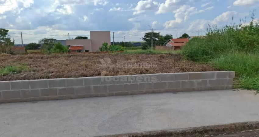 Terreno Padrão em São José do Rio Preto