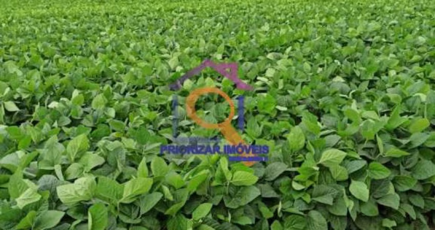 FAZENDA DUPLA APTIDÃO COM 1.396 HA EM CAPÃO BONITO - SP