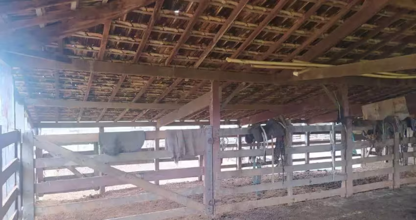 Fazenda à venda, PROXIMO ABAETE - Abaeté/MG