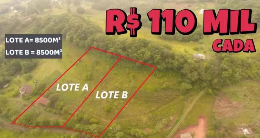 [725] CHÁCARA EM NOVA HARTZ 8.500M², LUZ, INTERNET POR FIBRA ÓTICA R$ 110 MIL