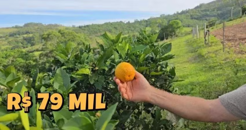 [640] CHACRINHA EM SANTO ANTÔNIO DA PATRULHA CERCADA COM TELA, POMAR, POÇO ARTESIANO E FIBRA ÓTICA