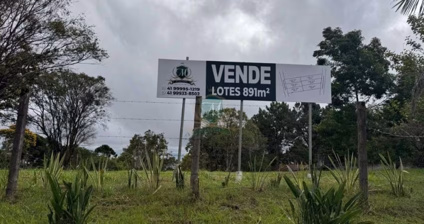 Lote Exclusivo: 924,80m² na Valorizada Estrada Ecológica, com vista para o Alphaville Graciosa