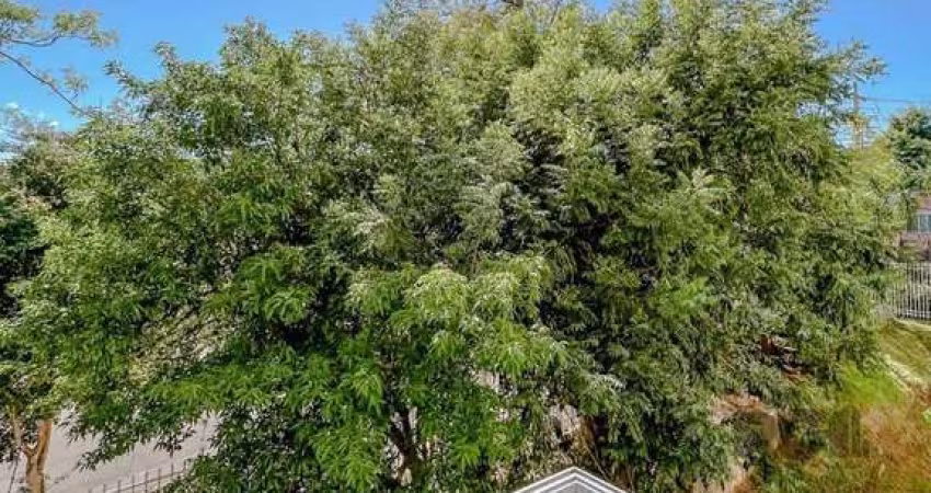 Apartamento 3 dormitórios à venda Teresópolis Porto Alegre/RS