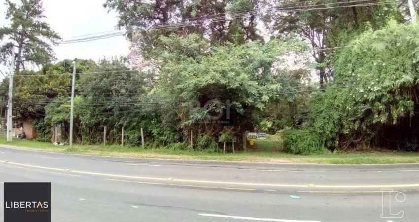 Terreno para Venda - 0m², 0 dormitórios, Pedra Redonda