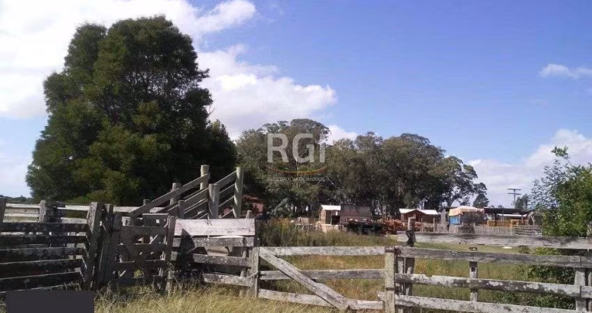 Area para Venda - 120000m², 0 dormitórios, Vila Santa Rosa