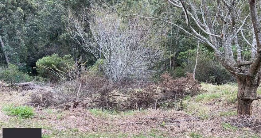 Terreno para Venda - 0m², 0 dormitórios, Santa Isabel