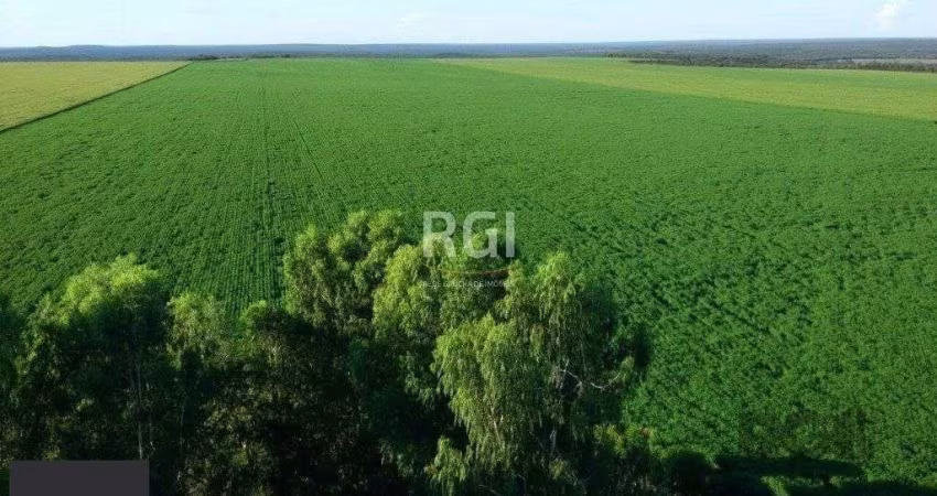 Fazenda à venda Centro Sapezal/MT