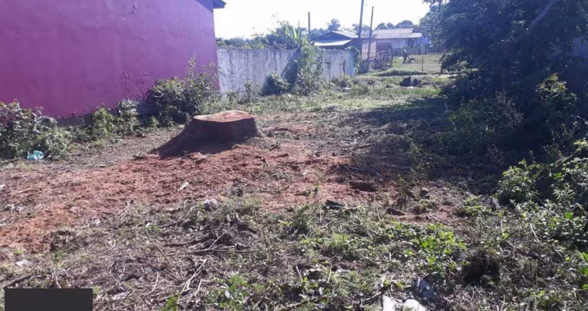 Terreno para Venda - 300M², Lageado, Porto Alegre