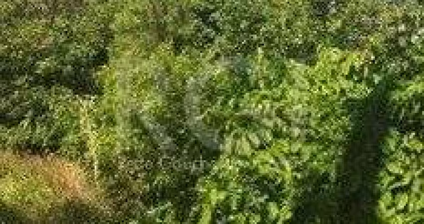 Terreno para Venda - 0m², 0 dormitórios, Aberta dos Morros/ Altos do Santa Rita,