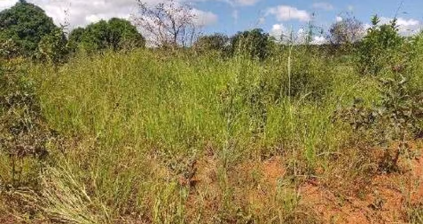 Oportunidade Única em LUZIANIA - GO | Tipo: Terreno | Negociação: Venda Online  | Situação: Imóvel