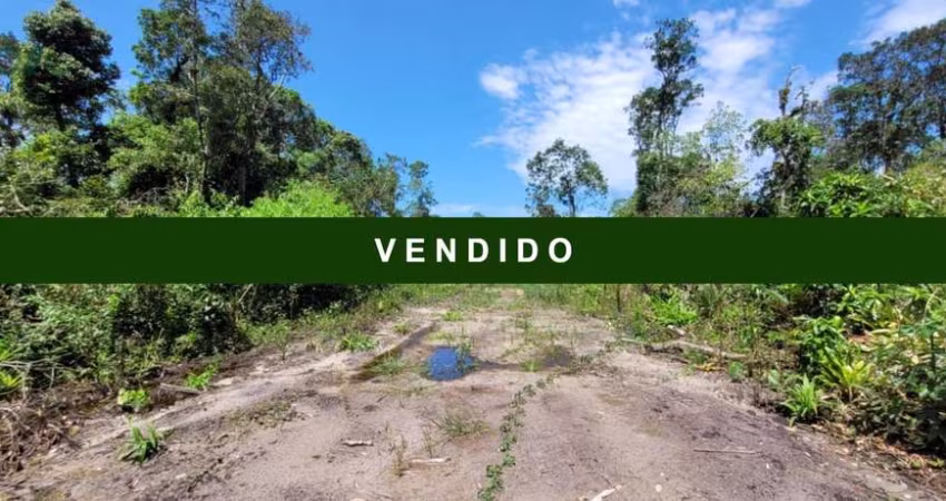 DOIS TERRENOS JUNTOS 24X32, com rua aberta, 100% documentado.