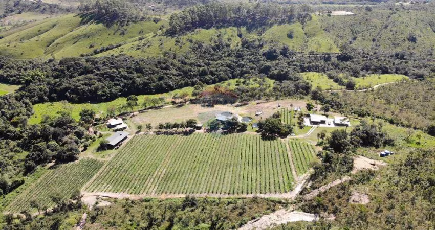 Vinícola Exclusiva à Venda na Serra da Canastra – Uma Joia Rara para Investidores e Amantes do Enoturismo!