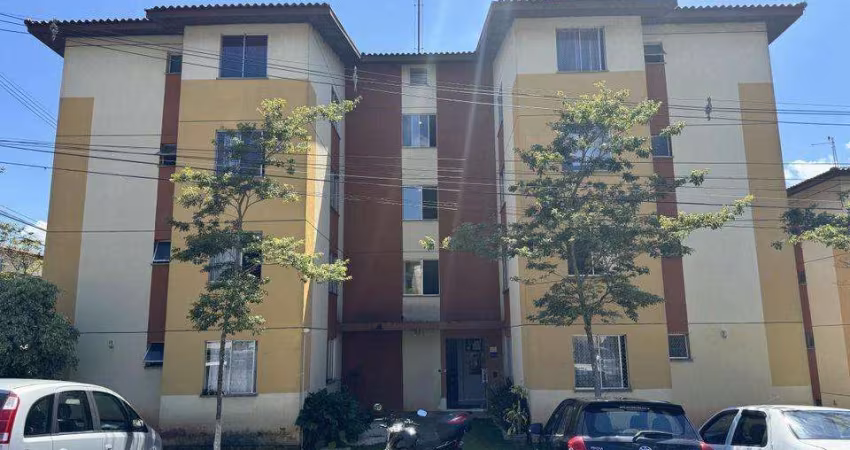 Apartamento para Venda em São José dos Pinhais, Colonia Rio Grande, 2 dormitórios, 1 banheiro, 1 vaga