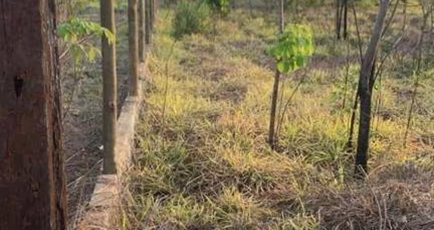 Lote em Condomínio Fechado para Venda em Lagoa Santa, Condomínio Recanto Do Beija Flor
