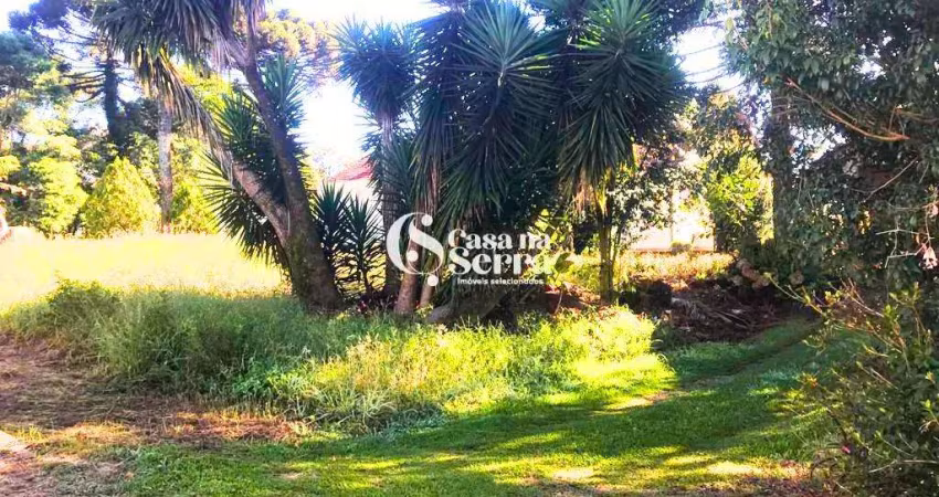 OPORTUNIDADE DE INVESTIMENTO NA SERRA GAÚCHA - TERRENO PLANO NO CENTRO DE NOVA PETRÓPOLIS, Logradouro, Nova Petropolis - RS
