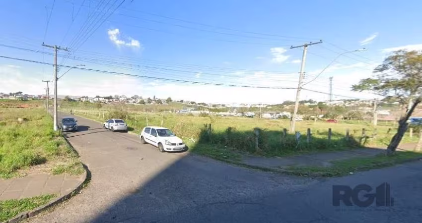 Espetacular terreno plano, com terra firme, situado ao nível da calçada e da rua, próprio para qualquer tipo de construção, residencial, comercial ou mista: Digo isso devido a condomínios próximos, se