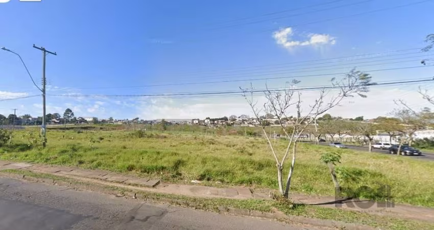 Espetacular terreno plano, com terra firme, situado ao nível da calçada e da rua, próprio para qualquer tipo de construção, residencial, comercial ou mista: Digo isso devido a condomínios próximos, se