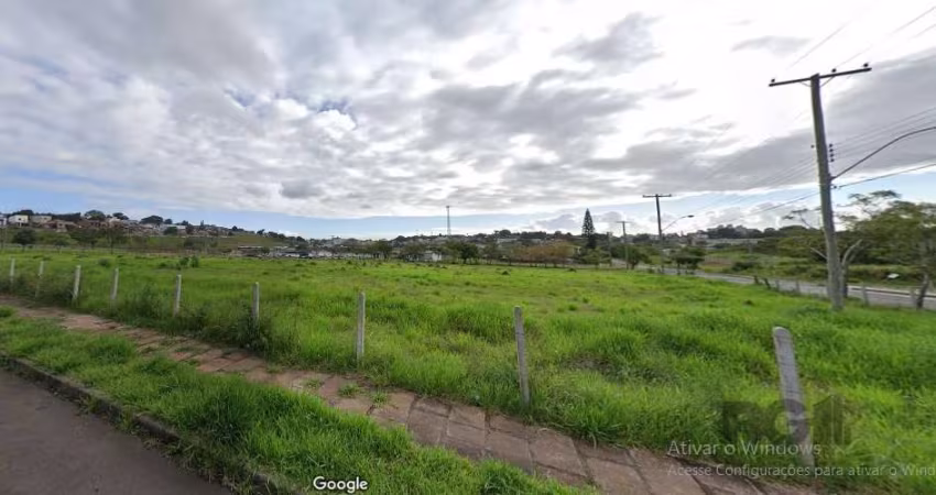 Espetacular terreno plano, com terra firme, situado ao nível da calçada e da rua, próprio para qualquer tipo de construção, residencial, comercial ou mista: Digo isso devido a condomínios próximos, se
