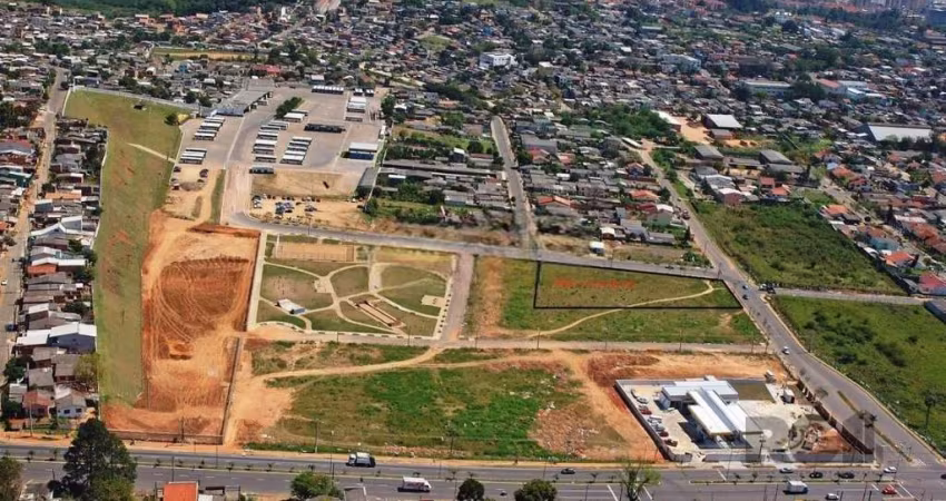Espetacular terreno plano, com terra firme, situado ao nível da calçada e da rua, próprio para qualquer tipo de construção, residencial, comercial ou mista: Digo isso devido a condomínios próximos, se