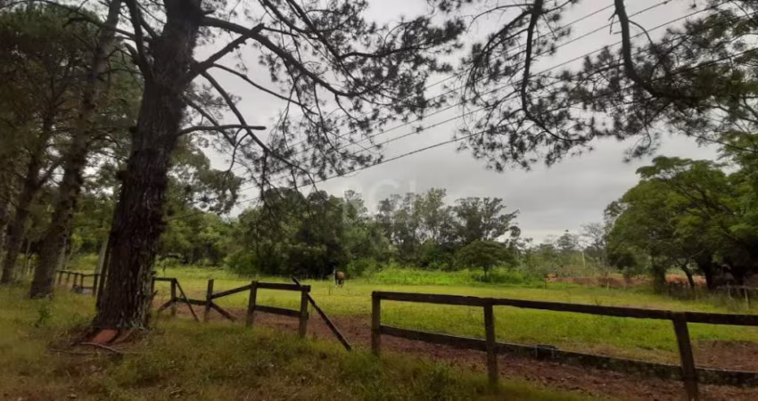 Ótimo sítio de 12hectares, plano,  de esquina, com 300metros de frente e 500m na rua lateral. &lt;BR&gt;Localizado a 10minutos de carro,  da Sociedade Hípica Porto Alegrense.&lt;BR&gt;Ótima opção para