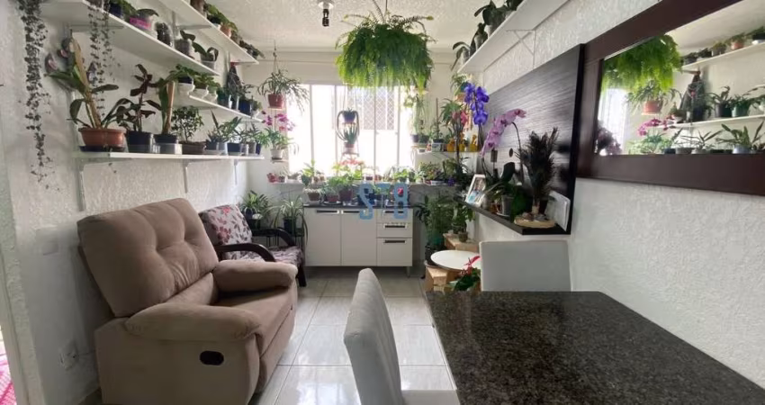 Apartamento com 2 quartos à venda na Rua Dolovico Pissaia, 840, Parque da Fonte, São José dos Pinhais