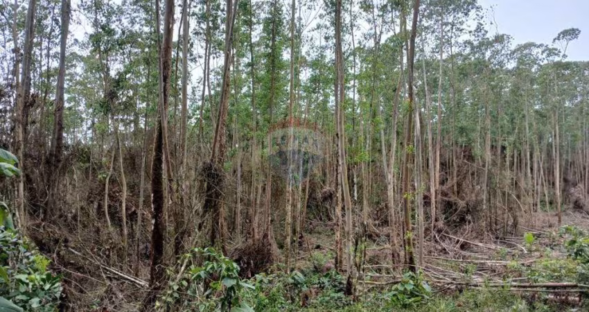 Terreno para venda em Taiaçupeba de 193000.00m²