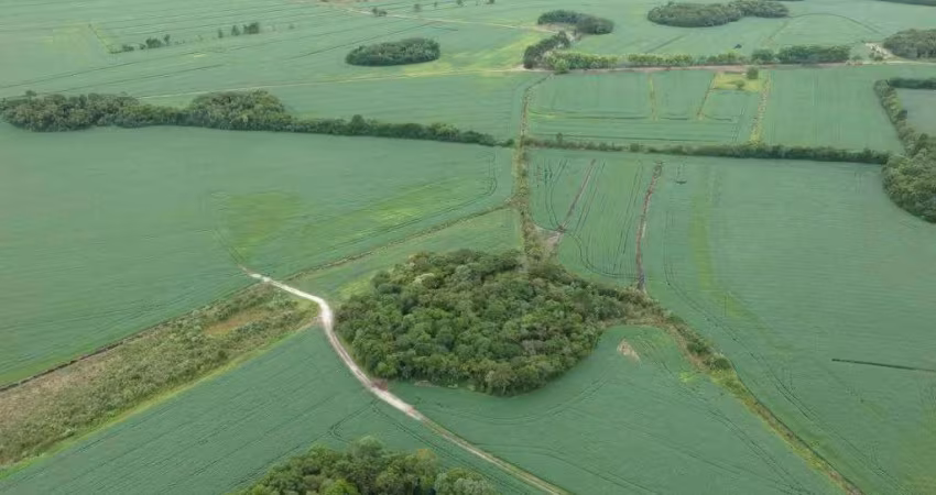 Lote / Terreno para venda em Tijucas Do Sul de 5320000.00m² com 1 Quarto